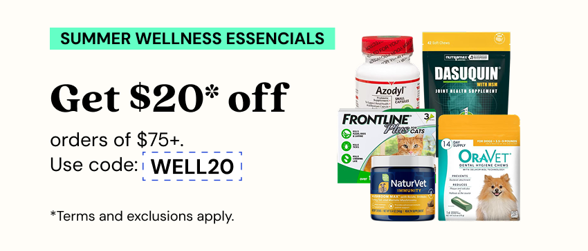 Promotions - Deals